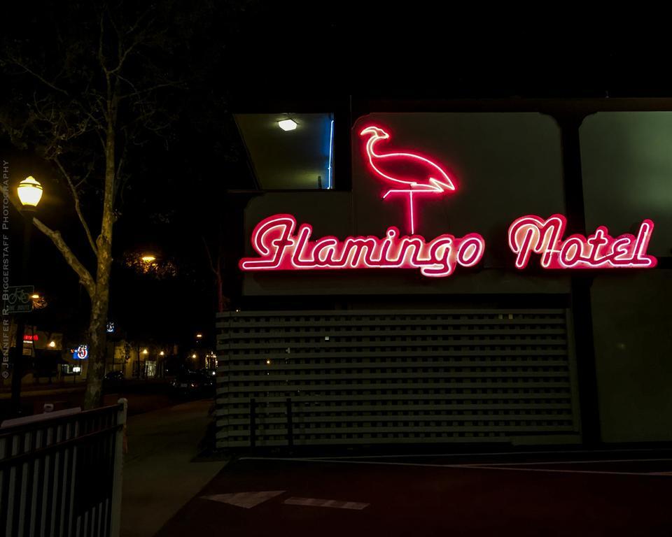 The Flamingo Motel San Jose Esterno foto