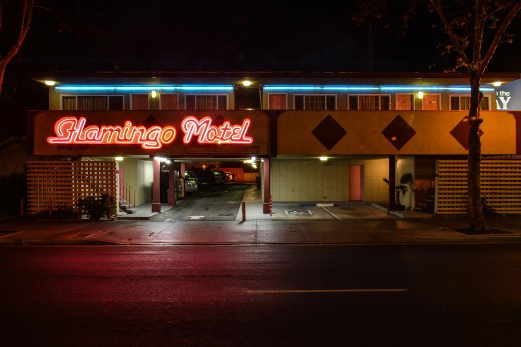 The Flamingo Motel San Jose Esterno foto