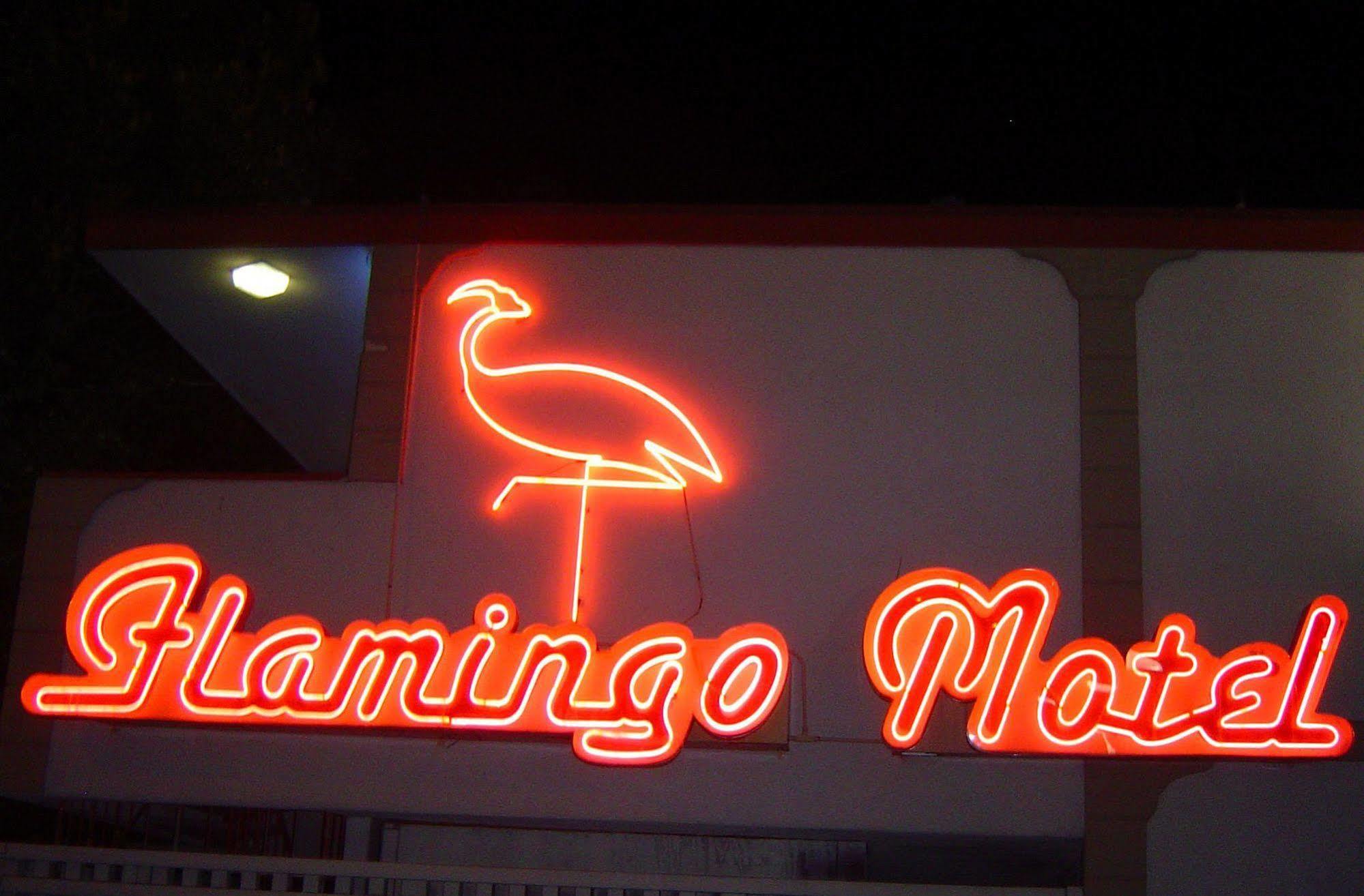 The Flamingo Motel San Jose Esterno foto